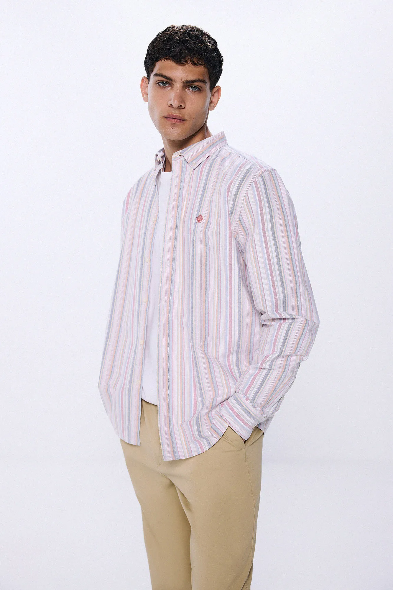 Springfield Camisa oxford rayas