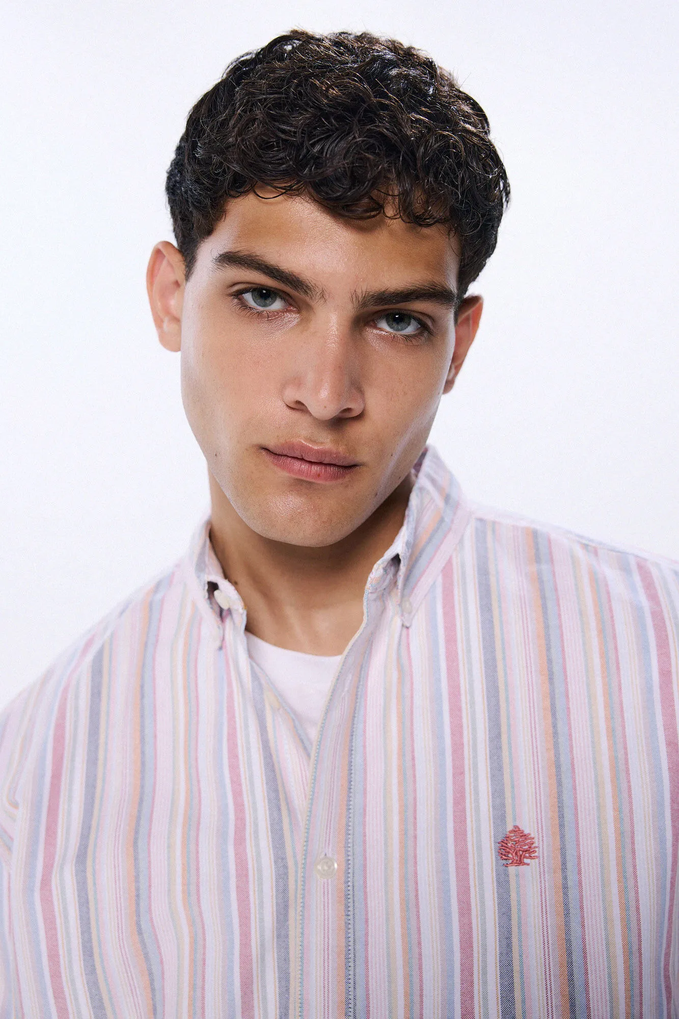 Springfield Camisa oxford rayas